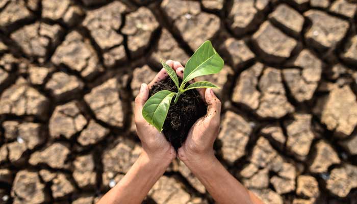 Soluciones de Mahuilque para Mitigar el Impacto Ambiental de la Minería